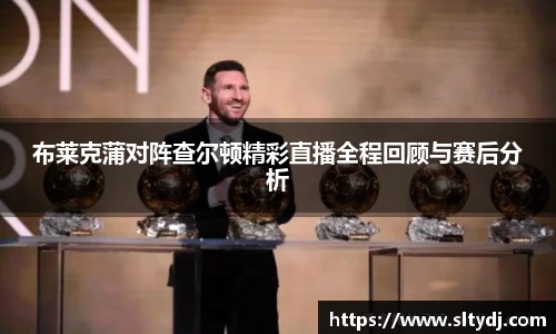 im电竞平台官网
