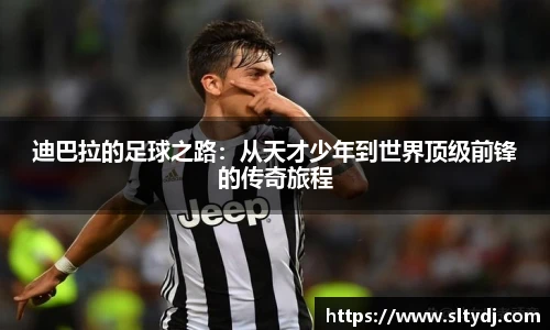 im电竞官网入口